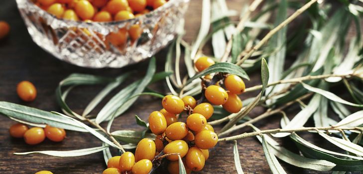 Rezept für Marmelade aus Sanddorn