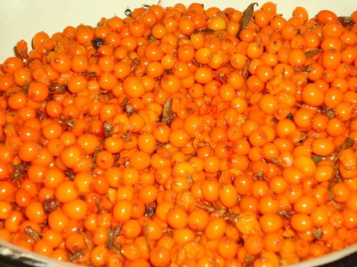 Pasteurisierte Marmelade aus Sanddorn