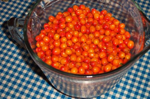 Pasteurisierte Marmelade aus Sanddorn