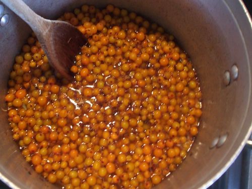 Pasteurisierte Marmelade aus Sanddorn