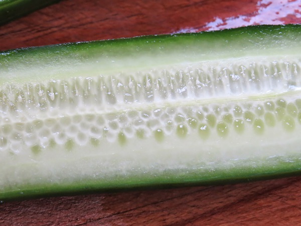 Einfache Rezepte für die Konservierung von Gurken für den Winter ohne Essig