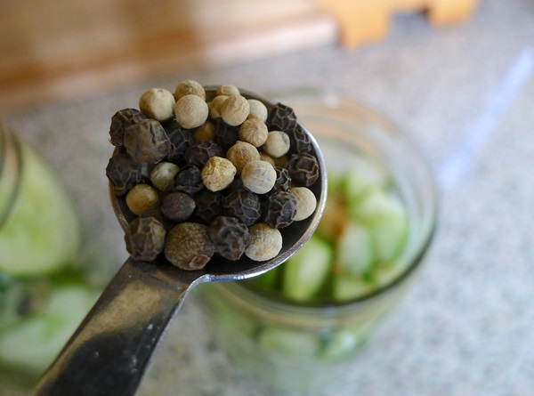 Tasty Gurken mit Knoblauch für den Winter