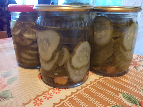 Tasty Gurken mit Knoblauch für den Winter