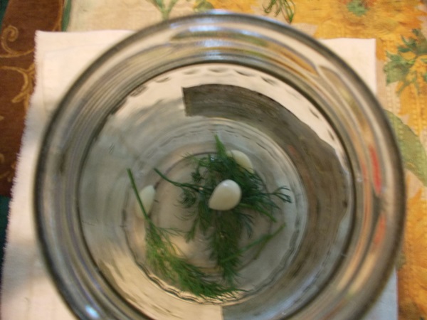 Tasty Gurken mit Knoblauch für den Winter