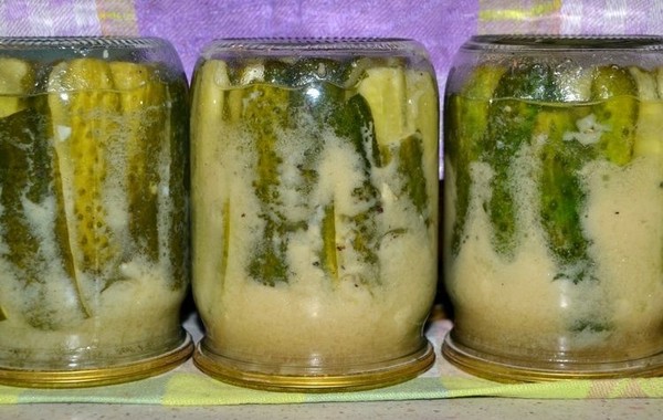 Gurken mit Senf für den Winter ohne Sterilisation und damit heiß und kalt. Salat aus überreifen Gurken mit Senf