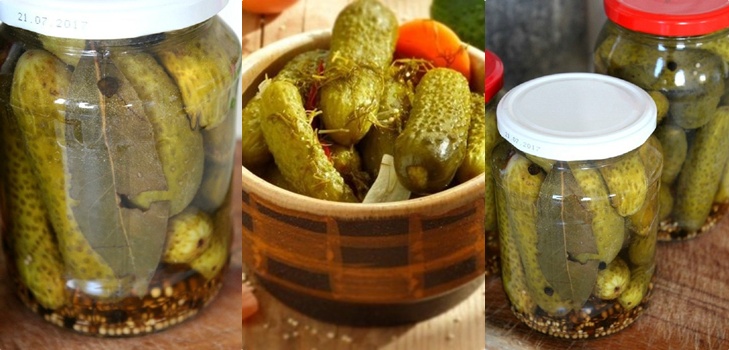 Gurken mit Senf für den Winter in Dosen, Rezepte mit Foto