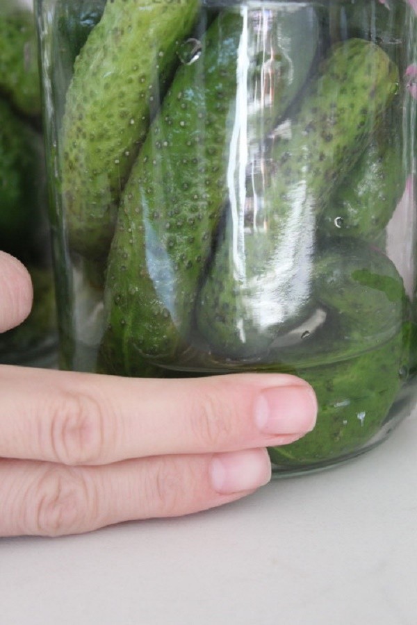 Gurken mit Senf für den Winter in Dosen, Rezepte mit Foto