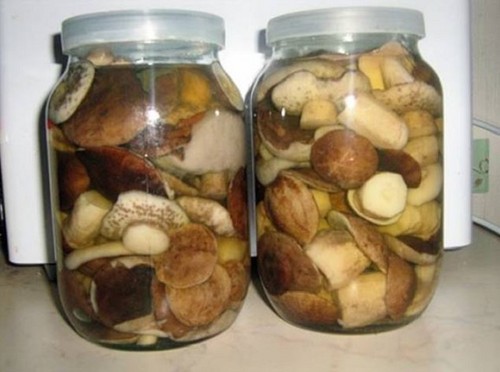 Hasen für den Winter: Methoden und Rezepte für Knüppel