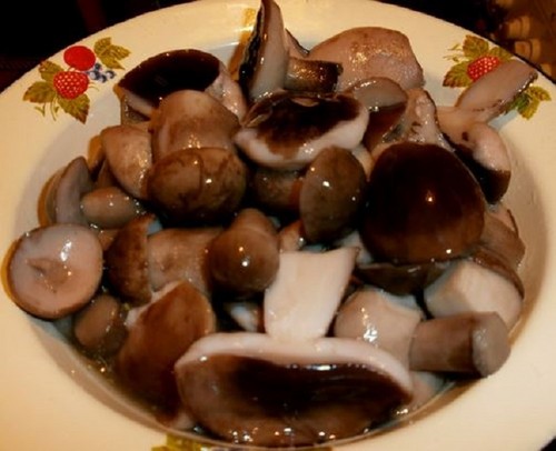 Hasen für den Winter: Methoden und Rezepte für Knüppel