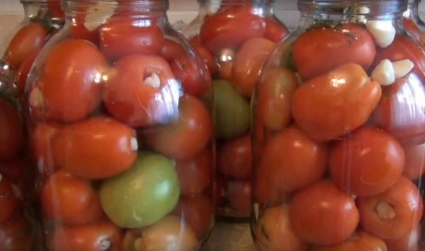 Tomaten mit Knoblauch für den Winter, Rezepte. Tomatenernte mit Knoblauch für den Winter: ein Rezept für schnelles Kochen, ohne Sterilisation, gesalzen ohne zu baden
