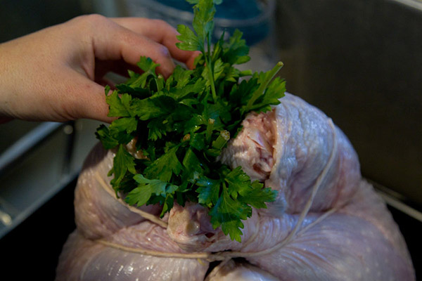 Das Rezept für die Türkei für das neue Jahr 2017 und Weihnachten - im Ofen, multivark, in einer Pfanne, mit saurer Sahnesauce und Gemüse