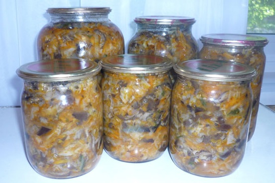 Pilz-Sammelsurium für den Winter mit Kohl
