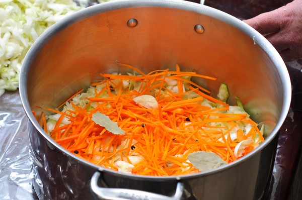 Rezepte aus Kohl für den Winter: leckere Salate, Barren ohne Essig, mit Aspirin, ohne Sterilisation