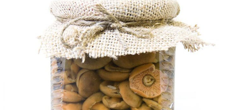 Rozhiki für den Winter - Rezepte zum Einfrieren, Beizen Rozhiki für den Winter - Rezepte zum Einfrieren, Beizen