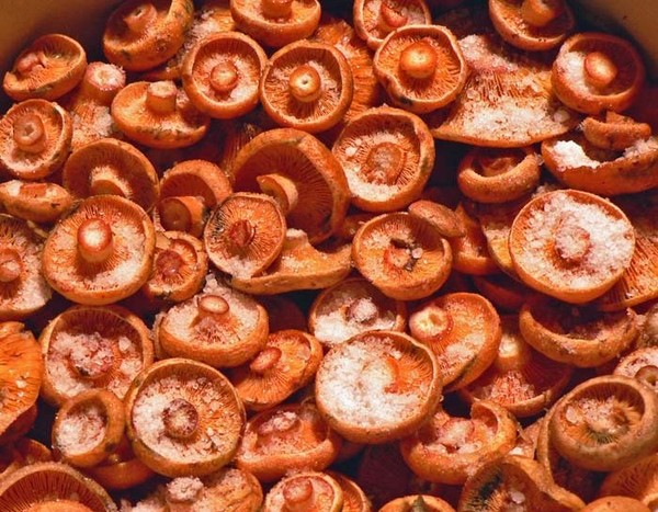 Rozhiki für den Winter - Rezepte zum Einfrieren, Beizen
