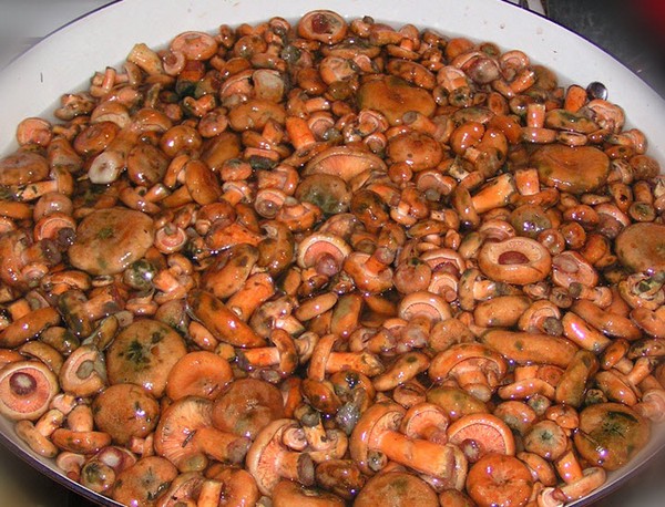 Rozhiki für den Winter - Rezepte zum Einfrieren, Beizen