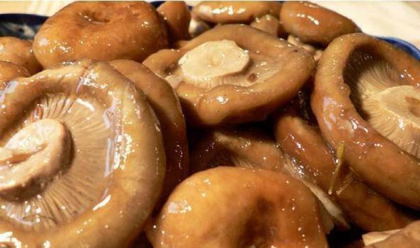 Rozhiki für den Winter - Rezepte zum Einfrieren, Beizen