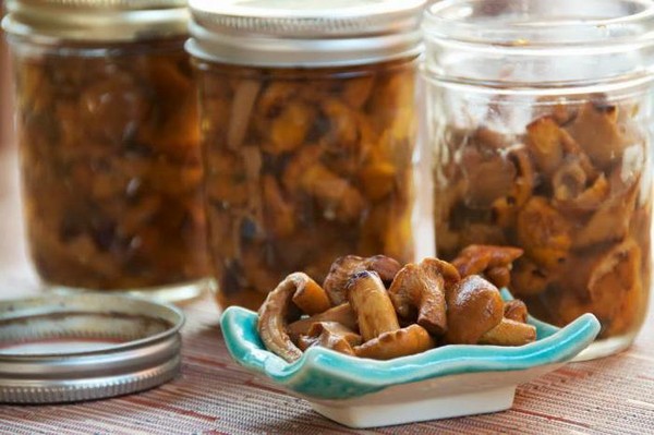 Rozhiki für den Winter - Rezepte zum Einfrieren, Beizen