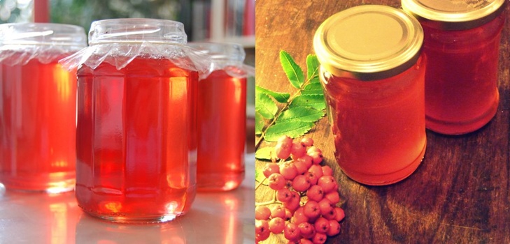 Rowan für den Winter: Rezepte für Knüppel aus der üblichen roten und schwarzen Aronia