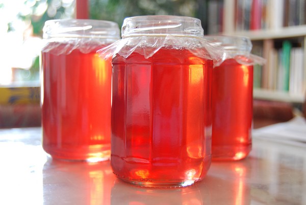 Rowan für den Winter: Rezepte für Knüppel aus der üblichen roten und schwarzen Aronia