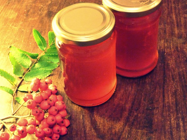 Rowan für den Winter: Rezepte für Knüppel aus der üblichen roten und schwarzen Aronia