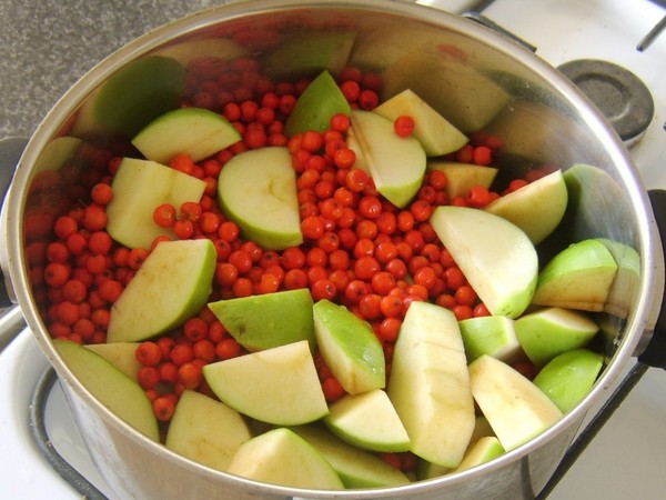 Rowan für den Winter: Rezepte für Knüppel aus der üblichen roten und schwarzen Aronia