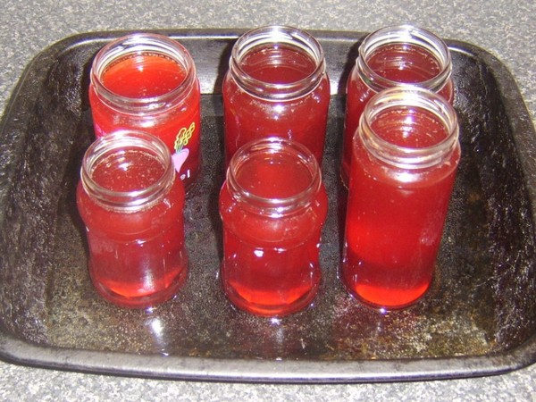 Rowan für den Winter: Rezepte für Knüppel aus der üblichen roten und schwarzen Aronia