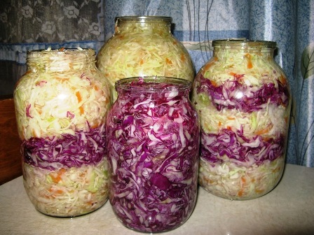 Rotkohlsalat für den Winter