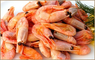 Shrimps und Tintenfischsalat