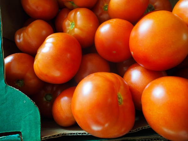 Tomatensalat für den Winter