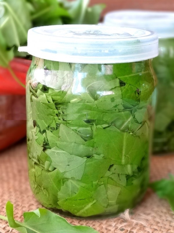 Grüner Heiler: die besten hausgemachten Rezepte von Sauerampfer