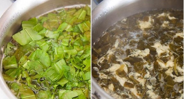 Grüner Heiler: die besten hausgemachten Rezepte von Sauerampfer