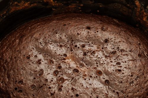 Schokoladenkuchen in Multivarquet - schnelles Rezept mit Foto