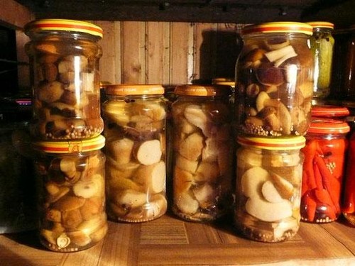 Roggen: einfache und köstliche Kochrezepte