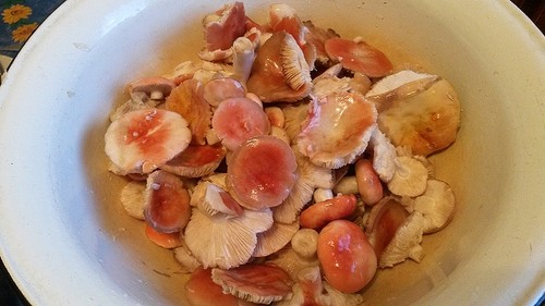 Roggen: einfache und köstliche Kochrezepte