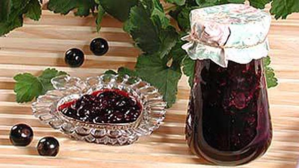 Johannisbeere mit Zucker für den Winter ohne Kochen, Pyatiminutka, gefroren. Johannisbeere-Rezept, mit Zucker für den Winter gerieben (ohne Kühlschrank)