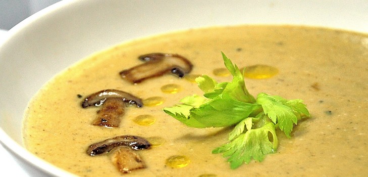 Suppe aus Birkenrinde: Rezepte mit Foto