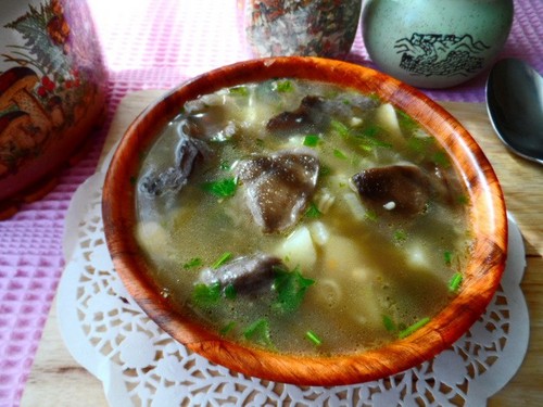 Suppe aus Birkenrinde: Rezepte mit Foto