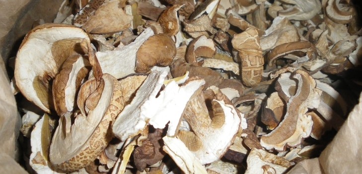 Getrocknete weiße Pilze: Rezepte für das Kochen