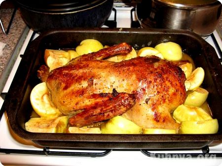 Ente im Ofen: Wie lecker zu kochen?