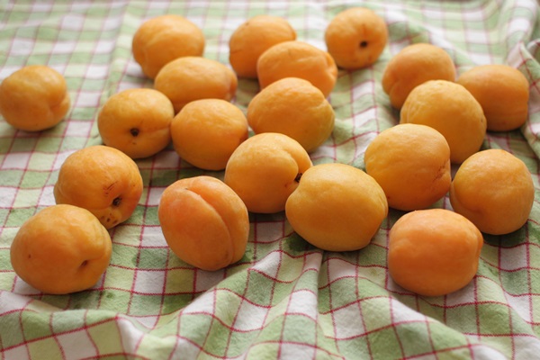 Aprikosenmarmelade - königliches Rezept