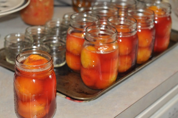 Aprikosenmarmelade - königliches Rezept