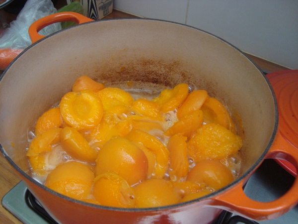 Aprikosenmarmelade - königliches Rezept