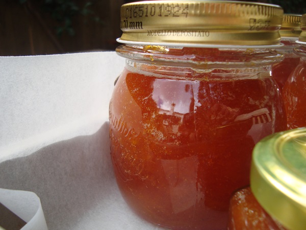 Aprikosenmarmelade - königliches Rezept