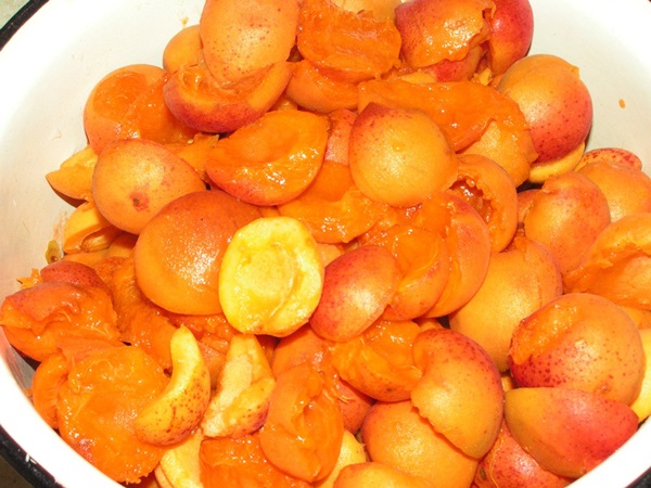 Aprikosenmarmelade - königliches Rezept