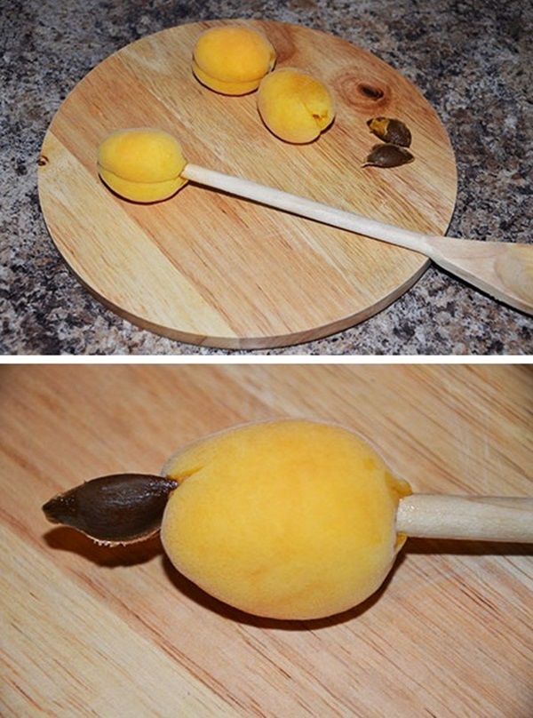 Aprikosenmarmelade - königliches Rezept