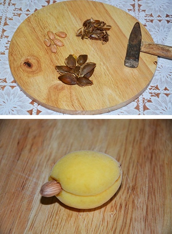 Aprikosenmarmelade - königliches Rezept