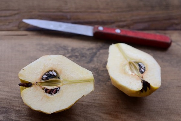 Marmelade aus der Quitte: die leckersten Rezepte mit Fotos