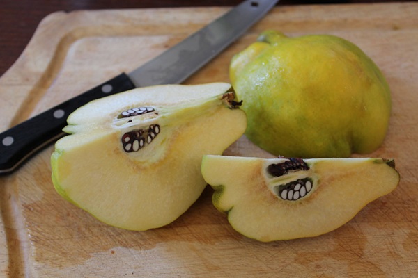Marmelade aus der Quitte: die leckersten Rezepte mit Fotos
