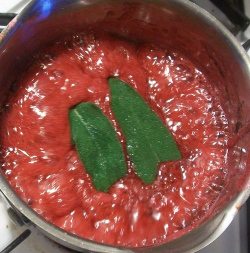 Gelee aus roten Johannisbeeren